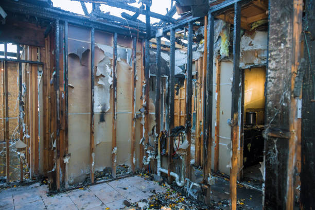 Professional Smoke Damage Removal technician working in Willow Grove, TX