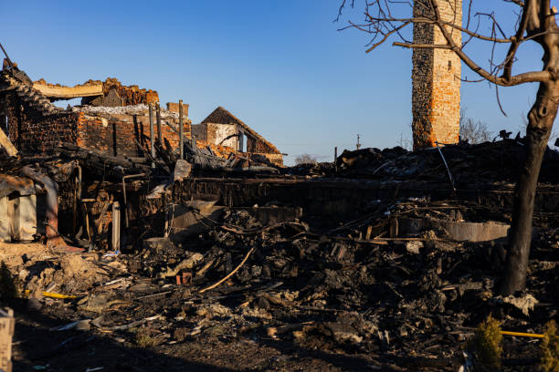 Reliable Smoke Damage Removal contractor in Willow Grove, TX by Fire Damage Doption